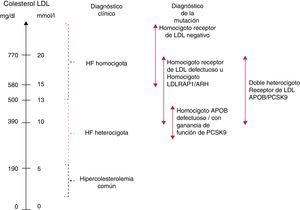 Variabilidad fenotípica en la HFHo. En Internet se puede consultar el material complementario si se desea obtener la explicación detallada y la bibliografía relevante.APOB: apolipoproteína B; LDL: lipoproteína de baja densidad; LDLRAP1: proteína adaptadora 1 del receptor de LDL (es decir, ARH, hipercolesterolemia autosómica recesiva); PCSK9: proproteína convertasa subtilisina/kexina tipo 9.