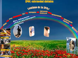 El continuo de la EPOC.