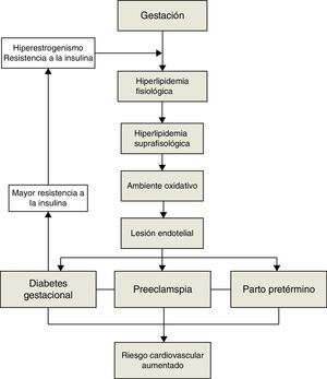 Relación y mecanismos implicados entre la diabetes gestacional, la preeclampsia y el parto pretérmino con el incremento del riesgo cardiovascular.