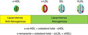 c-no-HDL como objetivo terapéutico por su significado como colesterol aterogénico.