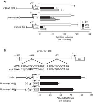 Los mediadores inflamatorios inhiben la FBLN5 a través de un mecanismo transcripcional. A) Las CMLV se transfectaron con los vectores acoplados a luciferasa pFBLN5-1650, pFBLN5-635 o pFBLN5-329 y se expusieron a estímulos inflamatorios (LPS: 100ng/ml o TNFα: 50ng/ml) durante 24h. Se determinaron las actividades luciferasa de firefly y renilla. Los resultados (normalizados por renilla) se expresan como media±SEM (n=5; * p<0,05 vs. controles. B) Las CMLV se transfectaron con la construcción pFBLN5-1650 nativa o sus formas mutadas en los elementos putativos SOX. Los cambios introducidos por mutagénesis se resaltan en negrita. El histograma muestra la actividad luciferasa de la construcción nativa y de sus formas mutadas (círculos tachados). Los resultados se muestran como media±SEM (n=5; * p<0,001 vs. CMLV transfectadas con el vector pFBLN5-1650 nativo).