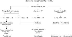 Algoritmo del tratamiento de la dislipemia aterogénica. c-no-HDL: colesterol no HDL (colesterol total menos colesterol HDL); cHDL: colesterol de las lipoproteínas de alta densidad; CV: cardiovascular; TG: triglicéridos.