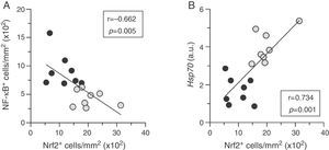 Nrf2 activation correlates to low inflammation and cytoprotection in atherosclerotic plaques. Correlation between the extent of activation of Nrf2 and NF-κB (A), and HSP70 mRNA expression (B) in atherosclerotic lesions from diabetic mice treated with either vehicle (black circles, n=8) or HSP90 inhibitor (gray circles, n=8). Pearson