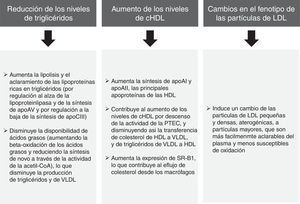 Efectos lipídicos del fenofibrato52,53.
