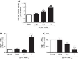 Effects of HgCl2 on NADPH oxidase activity (A), NOX-1 (B) and NOX-4 mRNA (C) levels. Data are expressed as mean±SEM. *p<0.05, **p<0.01 vs Control. n: 5–6. C: control.