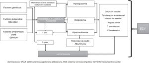 Mecanismos fisiopatológicos en el desarrollo de la hipertensión arterial en diabetes mellitus tipo2.