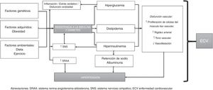 Mecanismos fisiopatológicos en el desarrollo de la hipertensión arterial en diabetes mellitus tipo2.