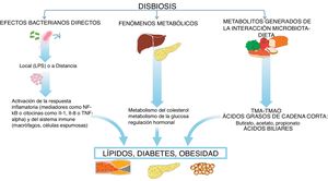 Mecanismos biológicos por los que la microbiota contribuye al desarrollo de arteriosclerosis. LPS: lipopolisacáridos; TMAO: trimetilamina N-óxido.