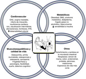 Consecuencias clínicas del sedentarismo. Los efectos fisiopatológicos derivados del sedentarismo abarcan una gama muy amplia de trastornos, con especial repercusión en el área cardiovascular y metabólica, favoreciendo o acelerando la progresión hacia la diabetes o enfermedad cardiovascular aterosclerótica.