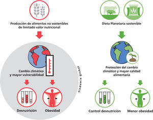 La producción no controlada de alimentos no sostenibles está generando una doble carga de obesidad y desnutrición, agravada por el cambio climático, que genera una mayor vulnerabilidad. En la actualidad, esta “sindemia global” es la mayor amenaza para la salud humana. Frente a ello, una Dieta Planetaria saludable a partir de sistemas alimentarios sostenibles va a favorecer una protección frente al cambio climático y una mayor calidad alimentaria con el consiguiente control de la desnutrición y una menor tasa de obesidad.