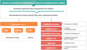 Recomendaciones de manejo clínico del riesgo cardiovascular en pacientes sin enfermedad cardiovascular, diabetes mellitus ni insuficiencia renal crónica. PA: presión arterial.