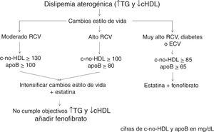 apoB: apolipoproteína B; c-no-HDL: colesterol no HDL (colesterol total menos colesterol HDL); cHDL: colesterol de las lipoproteínas de alta densidad; RCV: riesgo cardiovascular; TG: triglicéridos.