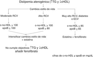 apoB: apolipoproteína B; c-no-HDL: colesterol no HDL (colesterol total menos colesterol HDL); cHDL: colesterol de las lipoproteínas de alta densidad; RCV: riesgo cardiovascular; TG: triglicéridos.