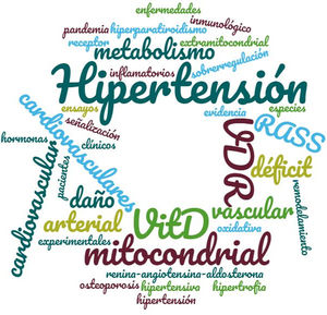 La nube de palabras como resumen del tema destaca, según el tamaño y la distribución de las palabras, las implicancias relevantes que se establecen entre la enfermedad cardiovascular hipertensiva y los niveles de vitamina D en el contexto de los estudios básicos y su contracara, los estudios clínicos.