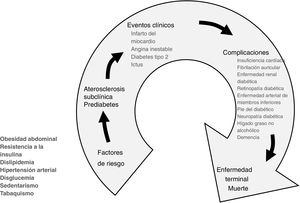 El continuo cardiometabólico. En su comienzo, al lado de los factores de riesgo cardiovascular, hay que tener en cuenta diversas condiciones de índole metabólica que tienen una especial repercusión sobre el sistema cardiovascular y los eventos por ECVA, como es el caso de la resistencia a la insulina, la obesidad central, la disglucemia y el sedentarismo, que pueden pasar desapercibidos.