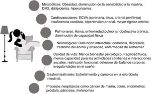 Efectos adversos del sedentarismo sobre la salud. A diferencia de los muy reconocidos factores de riesgo cardiovascular, la carga del sedentarismo sobre la salud apenas es conocida y sus efectos adversos impactan a la mayoría de los sistemas del organismo, con mayor repercusión en el área metabólica.