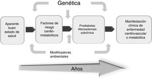 Prediabetes y aterosclerosis subclínica, momentos cruciales para la prevención cardiometabólica. Estas dos condiciones presintomáticas significan ventanas de oportunidades para implementar las debidas estrategias preventivas en pro de una mejor salud cardiometabólica futura.