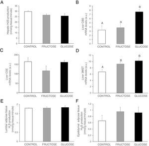 Carbohydrate intake during pregnancy influences H2S production in the liver and adipose tissue of male offspring. (A) Hepatic H2S production of 261-day-old male progeny from control (empty bar), fructose-fed (grey bar) and glucose-fed (black bar) pregnant rats. Liver gene expression (mRNA) of the transsulfuration pathway enzymes: (B) CBS, (C) CSE and (D) 3-MST of 261-day-old male progeny from fructose- or glucose-supplemented and control mothers. (E) Lumbar and (F) epididymal adipose tissues H2S production. Data are means±S.E. from 5 to 6 litters. Different letters indicate significant differences between the groups (P<0.05). Relative target gene mRNA levels were measured by Real Time PCR, as explained in Materials and Methods, and normalized to Rps29 levels and expressed in arbitrary units (a.u.). CBS: cystathionine beta-synthase; CSE: cystathionine gamma-lyase; 3-MST: 3-mercaptopyruvate sulfurtransferase.