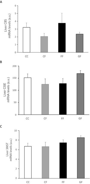 Liver gene expression (mRNA) of the transsulfuration pathway enzymes: (A) CBS, (B) CSE and (C) 3-MST of fructose-fed male adult progeny from control (CF, light grey bar), fructose- (FF, black bar), and glucose-supplemented (GF, dark grey bar) mothers. C/C: Control 261-day-old male offspring from control pregnant rats (empty bar, C/C). Data are means±S.E. from 5 to 6 litters. Different letters indicate significant differences between the groups (P<0.05). Relative target gene mRNA levels were measured by Real Time PCR, as explained in Materials and Methods, and normalized to Rps29 levels and expressed in arbitrary units (a.u.). CBS: cystathionine beta-synthase; CSE: cystathionine gamma-lyase; 3-MST: 3-mercaptopyruvate sulfurtransferase.