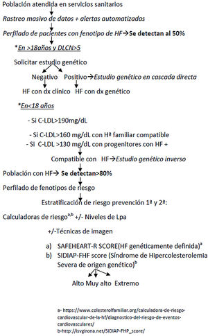 Propuesta de traslación a la práctica clínica. HF: hipercolesterolemia familiar. DLCNS: Criterios diagnósticos de las clínicas de lípidos holandesas (Dutch Lipid Clinic Network Score).