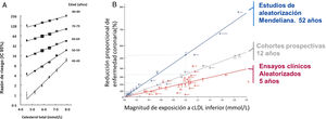 Relación entre el colesterol y la mortalidad por enfermedad coronaria en estudios epidemiológicos clásicos (A), de aleatorización mendeliana y ensayos clínicos aleatorizados (A y B). La relación entre los cambios en los niveles de colesterol y la mortalidad coronaria se demuestra en estudios epidemiológicos clásicos, para todos los rangos de colesterol estudiados y edades. Adaptada de Lewington et al.8. Los cambios en colesterol y la morbilidad cardiovascular muestran una misma relación log-lineal en estudios de cohortes clásicas, estudios de aleatorización mendeliana y ensayos clínicos de intervención. Los efectos sobre la morbilidad son dependientes tanto del cambio de los niveles de colesterol como de la duración temporal de los mismos: en torno a 5 años en estudios de intervención, 12 años en estudios de cohortes y > 50 años en estudios de aleatorización mendeliana. Adaptada de Ference et al.2.