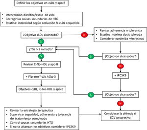 Algoritmo terapéutico para la hiperlipemia familiar combinada. apo: apolipoproteína; AGω-3: ácidos grasos omega-3; C: colesterol; cLDL: colesterol de las lipoproteínas de baja densidad; ECV: enfermedad cardiovascular; HDL: lipoproteínas de alta densidad; HTG: hipertrigliceridemia; iPCSK9: inhibidores de la proproteína convertasa subtilisina/kexina tipo 9; TGs: triglicéridos. *Si el paciente está tratado con una estatina, el fenofibrato es el fibrato de elección al estar contraindicado el gemfibrocilo.