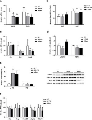Marcadores de inflamación, estrés oxidativo y estrés de retículo. (A) Niveles de ARNm de genes marcadores de inflamación expresados en unidades arbitrarias (u.a.). (B) Niveles plasmáticos de ALT y AST expresados en unidades/litro de plasma (U/L). (C) Niveles de ARNm de genes marcadores de estrés oxidativo expresados en unidades arbitrarias (u.a.). (D) Niveles de proteína PERK (fosforilada y total) expresados en unidades arbitrarias (u.a.) (E) Niveles proteicos de IRE-1 (fosforilado y total) expresados en unidades arbitrarias (u.a.). A la derecha del gráfico se muestra una imagen representativa del experimento de western blot realizado para p-IRE1 e IRE-1 para n=3 muestras por grupo de estudio. (F) Niveles de ARNm de genes clave de las diferentes vías de estrés de retículo, expresados en unidades arbitrarias (u.a.). Los resultados son la media±DE para n=8 animales/grupo. ABem: grupo alimentado con HF-FR y tratado con ácido bempedoico; CT: grupo control; HF-FR: grupo alimentado con dieta rica en grasa suplementada con fructosa en el agua de bebida. *p<0,05 vs. grupo CT.