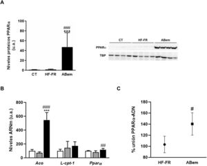 Determinación de la expresión y actividad PPARα (A) Niveles de proteína de PPARα expresados en unidades arbitrarias (u.a.). Se muestra una imagen representativa del ensayo de western blot realizado para n=4 muestras por grupo de estudio. Los resultados se normalizaron usando la proteína TATA-box-binding protein (TBP) como control. (B) Niveles de ARNm de genes diana de PPARα expresados en unidades arbitrarias (u.a.). (C) Actividad de unión de PPARα a PPRE expresada como porcentaje (%) de unión en los grupos HF-FR y ABem. Resultados expresados como media±DE para n=8 animales/grupo. ABem: grupo alimentado con HF-FR y tratado con ácido bempedoico; CT: grupo control; HF-FR: grupo alimentado con dieta rica en grasa suplementada con fructosa en el agua de bebida. ***p<0,001 vs. grupo CT. #p<0,05, ##p<0,01, ###p<0,001 vs. grupo HF-FR.