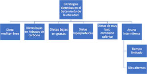 Estrategias de dietoterapia en la obesidad.