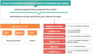 Recomendaciones de manejo clínico del riesgo cardiovascular en pacientes sin enfermedad cardiovascular, diabetes mellitus ni insuficiencia renal crónica. FA: fibrilación auricular; HTA: hipertensión arterial; PA: presión arterial; RCV: riesgo cardiovascular; SM: síndrome metabólico.