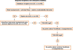Esquema terapéutico para el manejo de la dislipemia y prevención cardiovascular en la diabetes. cHDL: colesterol lipoproteína de alta densidad; cLDL: colesterol lipoproteína de baja densidad; TGS: triglicéridos.