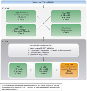 Algoritmo de objetivos terapéuticos y tratamiento farmacológico en pacientes con enfermedad vascular establecida. C-LDL: colesterol ligado a lipoproteínas de baja densidad; CV: cardiovascular; DAPT: dual antiplatelet therapy; DPI: dual pathway inhibition; ECV: enfermedad cardiovascular; PAS: presión arterial sistólica. Adaptada de la figura 7, página 27, Eur Heart J. 2021;42:3227-3337. doi: 10.1093/eurheartj/ehab484.