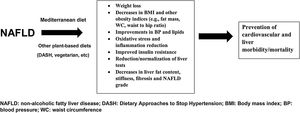 The role of diet in NAFLD treatment. NAFLD: non-alcoholic fatty liver disease; DASH: Dietary Approaches to Stop Hypertension; BMI: body mass index; BP: blood pressure; WC: waist circumference.
