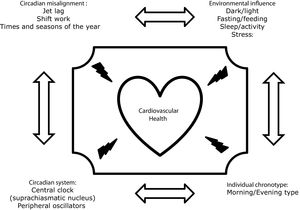 New scenarios to take into account in the prevention and control of cardiovascular health.
