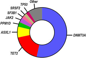 Mutational spectrum in CHIP. The most commonly mutated genes in CHIP based on whole genome sequencing analysis are shown in the chart.13 The relative number of mutations in each gene is proportional to its representation. This mutational spectrum may vary, if CHIP is investigated in specific age ranges or by more sensitive sequencing approaches.