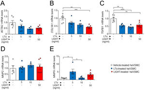 Expression analysis of genes related to the acquisition of haVSMC contractile and secretory phenotype. Relative expression levels of (A) ACTA2, (B) COL1A1, (C) TGFB1, (D) MMP2 and (E) MMP9 in ahVSMC treated with vehicle, LTα (5ng/ml), LTα (10ng/ml) and LIGHT (50ng/ml). mRNA levels were normalized with the endogenous gene levels and relativized to the vehicle-treated VSMC mRNA levels. Statistical analysis was performed by one-way ANOVA followed by Tukey