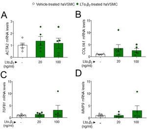 Expression analysis in haVSMC of genes associated to the acquisition of contractile and secretory phenotype. Relative expression levels of (A) ACTA2, (B) COL1A1, (C) TGFB1 and (D) MMP2 in haVSMC treated with vehicle, LTα1β2 (20ng/ml) and LTα1β2 (100ng/ml). mRNA levels were normalized with the levels of the endogenous gene and relativized to the vehicle-treated VSMC mRNA levels. Statistical analysis was performed by one-way ANOVA followed by Tukey