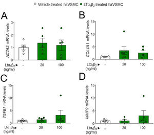 Expression analysis in haVSMC of genes associated to the acquisition of contractile and secretory phenotype. Relative expression levels of (A) ACTA2, (B) COL1A1, (C) TGFB1 and (D) MMP2 in haVSMC treated with vehicle, LTα1β2 (20ng/ml) and LTα1β2 (100ng/ml). mRNA levels were normalized with the levels of the endogenous gene and relativized to the vehicle-treated VSMC mRNA levels. Statistical analysis was performed by one-way ANOVA followed by Tukey's multiple comparisons test.