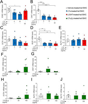 Expression analysis of genes of pluripotency and osteochondrogenesis in haVSMC. Relative expression mRNA levels of (A, F) SOX9, (B, G) CKIT, (C, H OCT4, (D, I) KLF4 and (E, J) KLF10 in haVSMC treated with vehicle, LTα (5ng/ml), LTα (10ng/ml) and LIGHT (50ng/ml) (A–) and with vehicle, LTα1β2 (20ng/ml) and LTα1β2 (100ng/ml) (F–J). mRNA levels were normalized with the levels of the endogenous gene and relativized to the vehicle-treated VSMC mRNA levels. Statistical analysis was performed by one-way ANOVA followed by Tukey