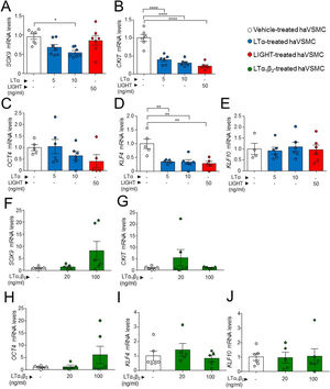 Expression analysis of genes of pluripotency and osteochondrogenesis in haVSMC. Relative expression mRNA levels of (A, F) SOX9, (B, G) CKIT, (C, H OCT4, (D, I) KLF4 and (E, J) KLF10 in haVSMC treated with vehicle, LTα (5ng/ml), LTα (10ng/ml) and LIGHT (50ng/ml) (A–) and with vehicle, LTα1β2 (20ng/ml) and LTα1β2 (100ng/ml) (F–J). mRNA levels were normalized with the levels of the endogenous gene and relativized to the vehicle-treated VSMC mRNA levels. Statistical analysis was performed by one-way ANOVA followed by Tukey's multiple comparisons test. *p<0.05; **p<0.01;****p<0.0001.