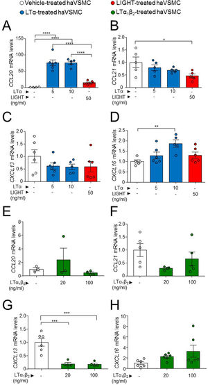 Gene expression analysis of lymphorganogenic cytokines in haVSMC. Relative expression levels of (A, E) CCL20, (B, F) CCL21, (C, G) CXCL13 and (D, H) CXCL16 in ahVSMC treated with vehicle, LTα (5ng/ml), LTα (10ng/ml) and LIGHT (50ng/ml) (A–D) and with vehicle, LTα1β2 (20ng/ml) and LTα1β2 (100ng/ml) (E–H). mRNA levels were normalized with the endogenous gene levels and relativized to the vehicle-treated VSMC mRNA levels. Statistical analysis was performed by one-way ANOVA followed by Tukey