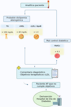 Diagrama del proceso de actuación ante la detección analítica de pacientes diabéticos con probable dislipemia aterogénica severa. La activación del algoritmo desencadena la implementación de una alerta analítica.AP: atención primaria; ApoB: apolipoproteína B; cHDL: colesterol unido a lipoproteínas de alta densidad; cLDL: colesterol unido a lipoproteínas de baja densidad; HbA1c: hemoglobina glucosilada; TG: triglicéridos.