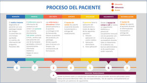 Descripción del programa de apoyo al paciente.