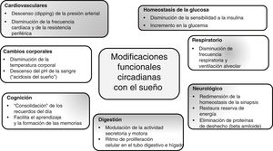 Ritmo circadiano y modulación de funciones corporales13–17. El reloj biológico determina el cumplimiento de los ritmos circadianos en mamíferos con una estrecha relación con el funcionamiento de numerosos sistemas del organismo, donde la nutrición, la alimentación y las respuestas metabólicas a la ingesta de alimentos son particularmente reguladas por los ritmos circadianos y también por las variaciones diurnas a través del día.