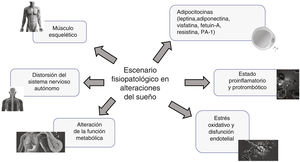 Panorama fisiopatológico en las alteraciones del sueño. Numerosas publicaciones recientes han definido el panorama de la calidad del sueño y sus nexos con las diversas alteraciones cardiometabólicos, incluyendo la salud cardiovascular, atribuible a una conjunción de factores participantes, cuya injerencia puede ser en mayor o menor grado. PAI-1: inhibidor del activador del plasminógeno-1.