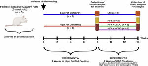 Experimental design. 20 five-week-old female Sprague Dawley rats were used in this study. In experiment A rats were randomly allocated into two diet groups low-fat diet (LFD) and high-fat diet (HFD), (n=5) for a period of eight weeks. In experiment B, animals kept on HFD (n=10) were randomized to receive high dose combined oral contraceptive (HCOC) and low dose combine oral contraceptive (LCOC) for six weeks, to give total experimental period to be 14 weeks. The animal weights and metabolic changes were monitored weekly.