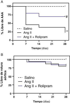 El rolipram atenúa el desarrollo de AAA en ratones ApoE-/− infundidos con Ang II. Los ratones ApoE-/− se infundieron con solución salina (salino) o Ang II (1.000 ng/kg/min) durante 28 días y se trataron o no con rolipram (3mg/kg/día; i.p.). A) Se muestra el porcentaje de animales libre de AAA a lo largo del periodo experimental en cada grupo p<0,05: * vs. salino; # vs. Ang II. B) Porcentaje de animales libre de roturas aórticas (salino, n=9; Ang II, n=15; rolipram, n=13).