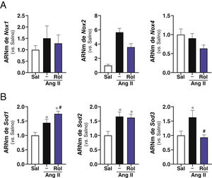 Efecto del tratamiento con rolipram sobre la expresión de enzimas implicados en la homeostasis rédox en ratones ApoE-/− infundidos con Ang II. Los ratones ApoE-/− se infundieron con solución salina (Sal) o Ang II (1.000 ng/kg/min) durante 28 días y se trataron o no con rolipram (Rol; 3mg/kg/día; i.p.). A) Se muestran los niveles de expresión para Nox1, Nox2 y Nox4 evaluados mediante RT-PCR en la aorta abdominal de cada grupo experimental B) Nivel de mRNA para la Sod1, Sod2 y Sod3. Los resultados se muestran como media±SEM. *p<0,05 vs. salino. #p<0,05 vs. Ang II sola (salino, n=10; Ang II, n=8; rolipram, n=12).