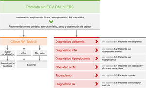 Recomendaciones de manejo clínico del riesgo vascular en pacientes sin enfermedad vascular establecida, diabetes mellitus, ni insuficiencia renal crónica. DM: diabetes mellitus; ECV: enfermedad cardiovascular; ERC: enfermedad renal crónica; FA: fibrilación auricular; HTA: hipertensión arterial; PA: presión arterial; RV: riesgo vascular; SM: síndrome metabólico.