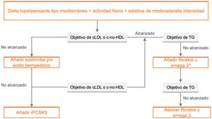 Esquema terapéutico para el manejo de la dislipemia y prevención vascular en la diabetes mellitus. *El objetivo secundario es un valor de TG < 200 mg/dL y es opcional el tratamiento farmacológico (ver apartado «Paciente con hipertrigliceridemia»). CV: cardiovascular; cLDL: colesterol unido a lipoproteínas de baja densidad; c-no-HDL: colesterol no HDL; DM: diabetes mellitus; HDL: lipoproteína de alta densidad; iPCSK9: inhibidores de proproteína convertasa subtilisina/kexina tipo 9; TG: triglicéridos.
